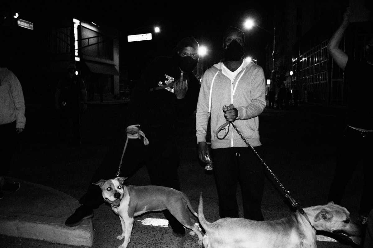 Protestors with dogs surveilling their community of Asbury Park, NJ.