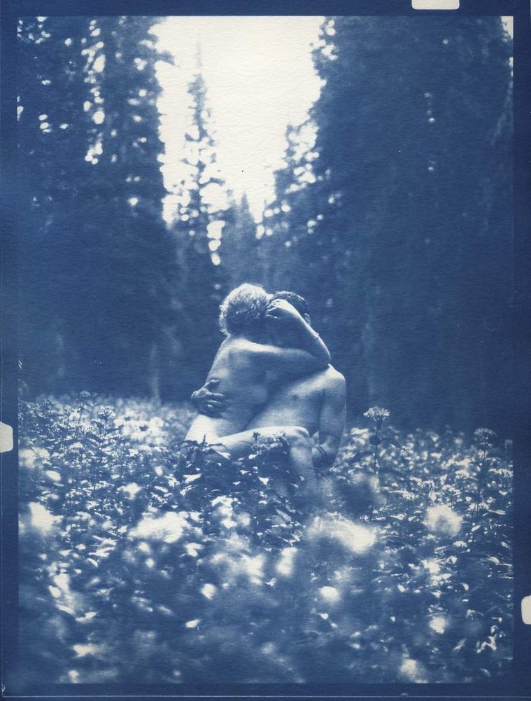 Cyanotype of nude couple embracing in flower field in the Rocky Mountains, Colorado