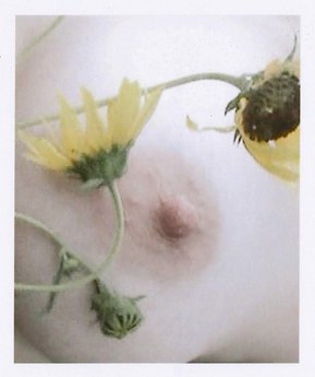 Female nipple with flowers