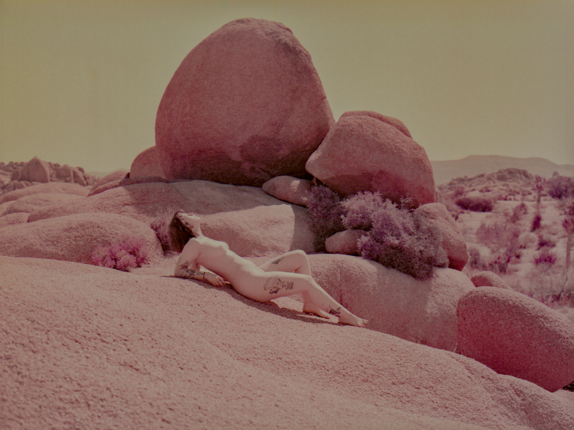 Nude woman lounges in purple landscape at Joshua Tree National Park