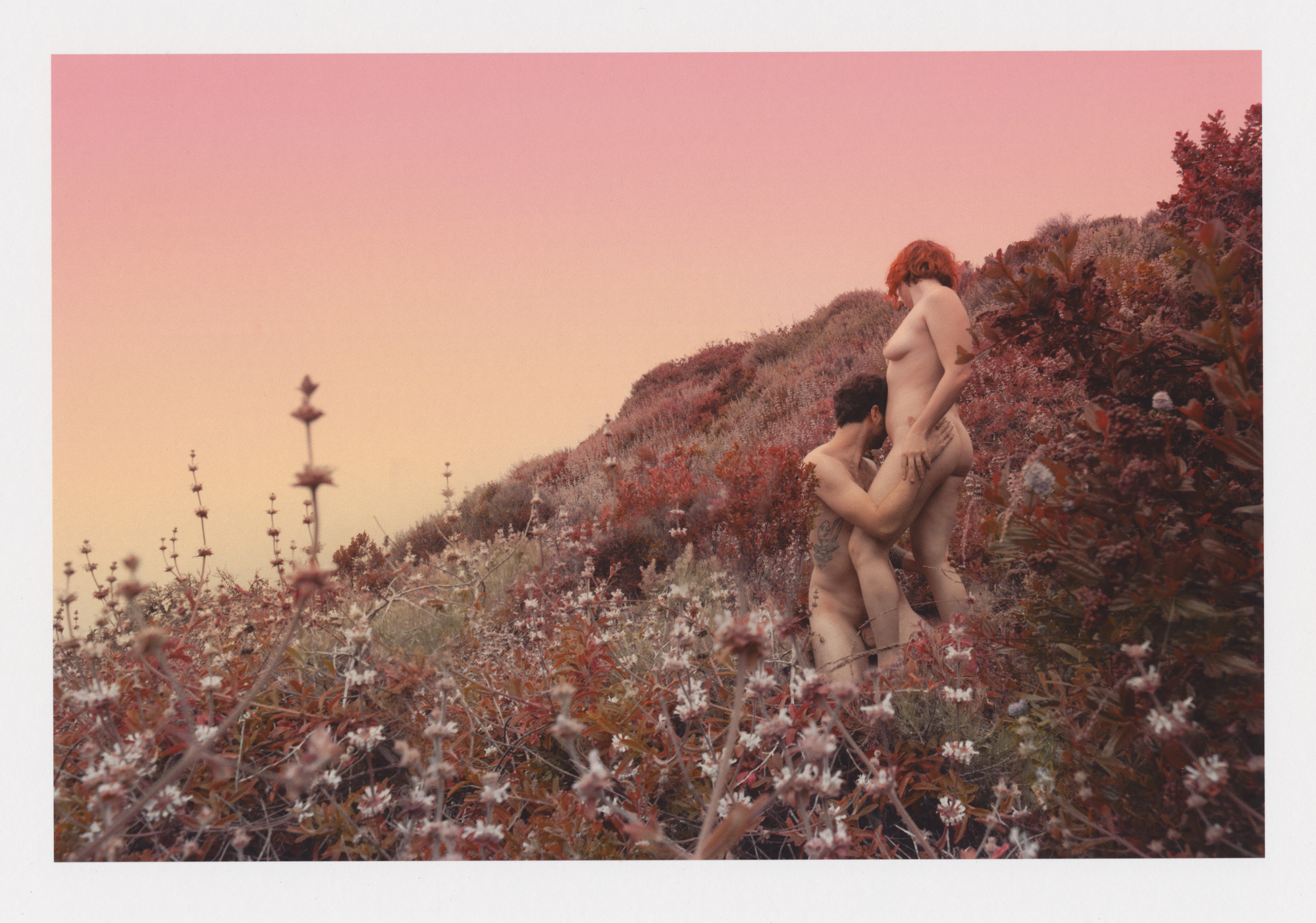 Nude couple stands in flower field against colorful sunset sky in Big Sur, California
