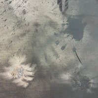 Schwarzgrün, 2022 | Acrylic paint, acrylic spray, soft pastel, oil pastel, and charcoal on raw cotton | 200 x 150 cm