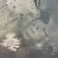 Schwarzgrün, 2022 | Acrylic paint, acrylic spray, soft pastel, oil pastel, and charcoal on raw cotton | 200 x 150 cm