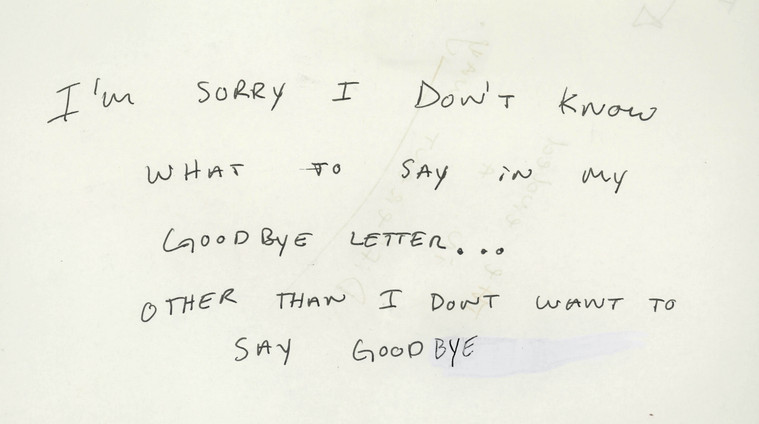 i'm sorry goodbye i love you