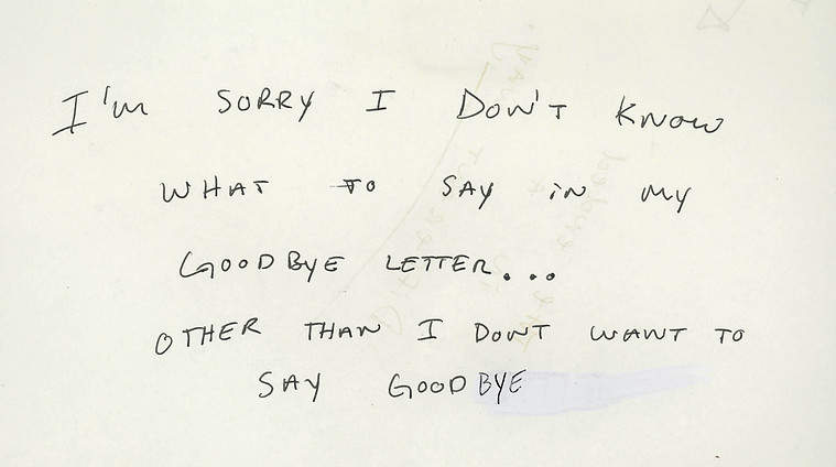 i'm sorry goodbye i love you