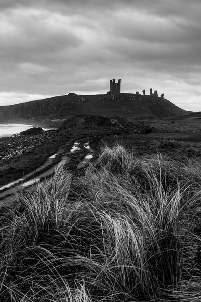 The ruins of Dunstanburgh Castle viewed across the marram grass of Embleton Bay dunes. a photograph by Tim Pearson