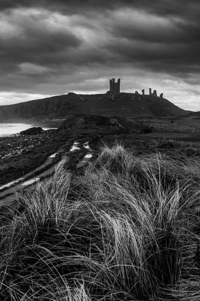 The ruins of Dunstanburgh Castle viewed across the marram grass of Embleton Bay dunes. a photograph by Tim Pearson