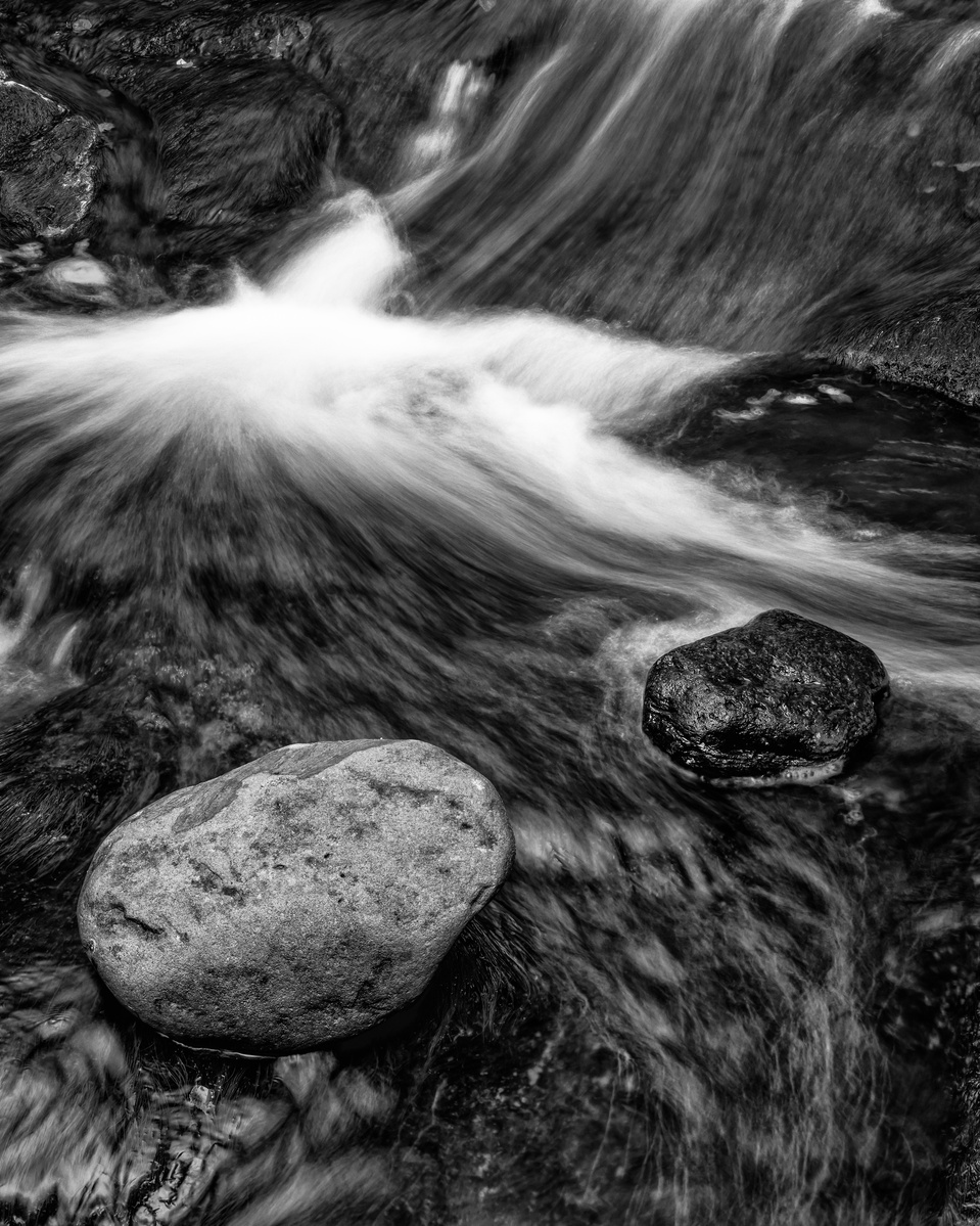 Upper Thomasson Foss detail. From the Dark Waters series by Tim Pearson.