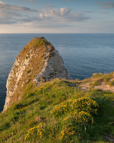 Evening light on headland cliffs at Flamborough, East Yorkshire. A photograph by Tim Pearson
