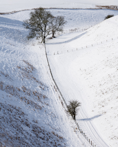 A snowy Horse Dale, near Huggate on the Yorkshire Wolds. A photograph by Tim Pearson.