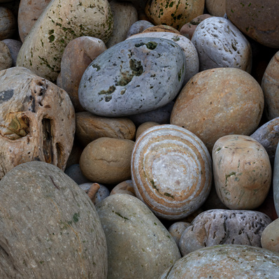 Colourful, textured boulders on the beach ay Hayburn Wyke, North Yorkshire. A photograph by Tim Pearson.