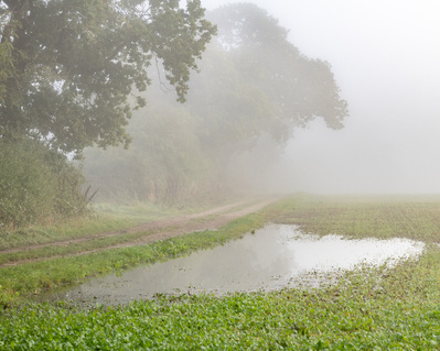 Farm track to Lakes Farm, Lockington, East Yorkshire. A photograph by Tim Pearson.