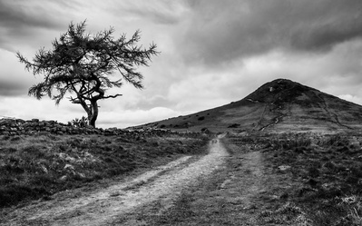 Roseberry Topping from the Cleveland Way, North Yorkshire Moors. A photograph by Tim Pearson.