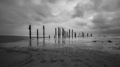 Groynes on the beach under a moody sky at Spurn Point Nature Reserve, East Yorkshire, UK. An image by Tim Pearson.
