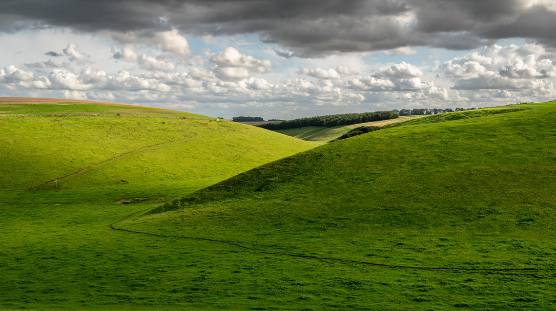 September sun and shadows fall on Camp Dale on the Yorkshire Wolds Way. A photograph by Tim Pearson.