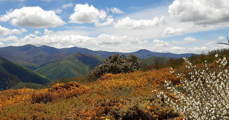 Mountain in Spain on a sunny day, clouds drifting, flowers blooming.