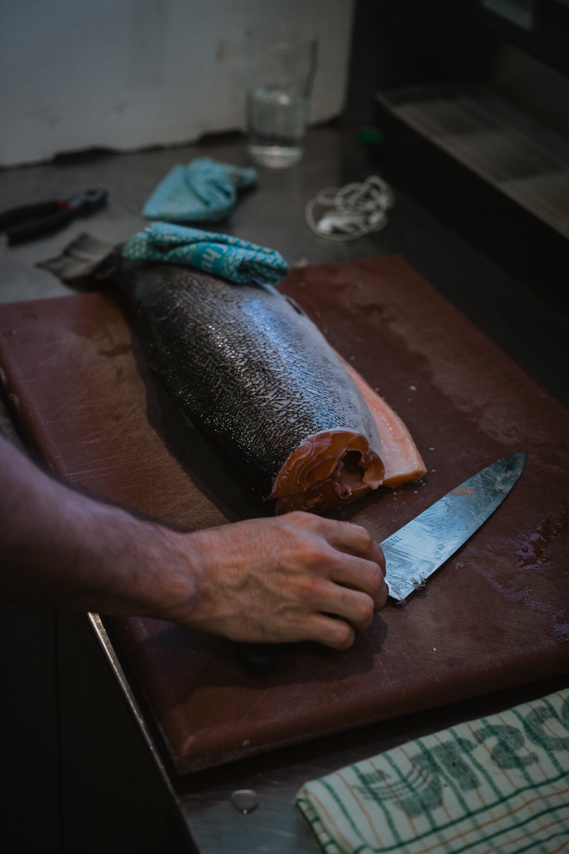 Photography Canberra creative Matthew Rollings chef at Teddy Picker's