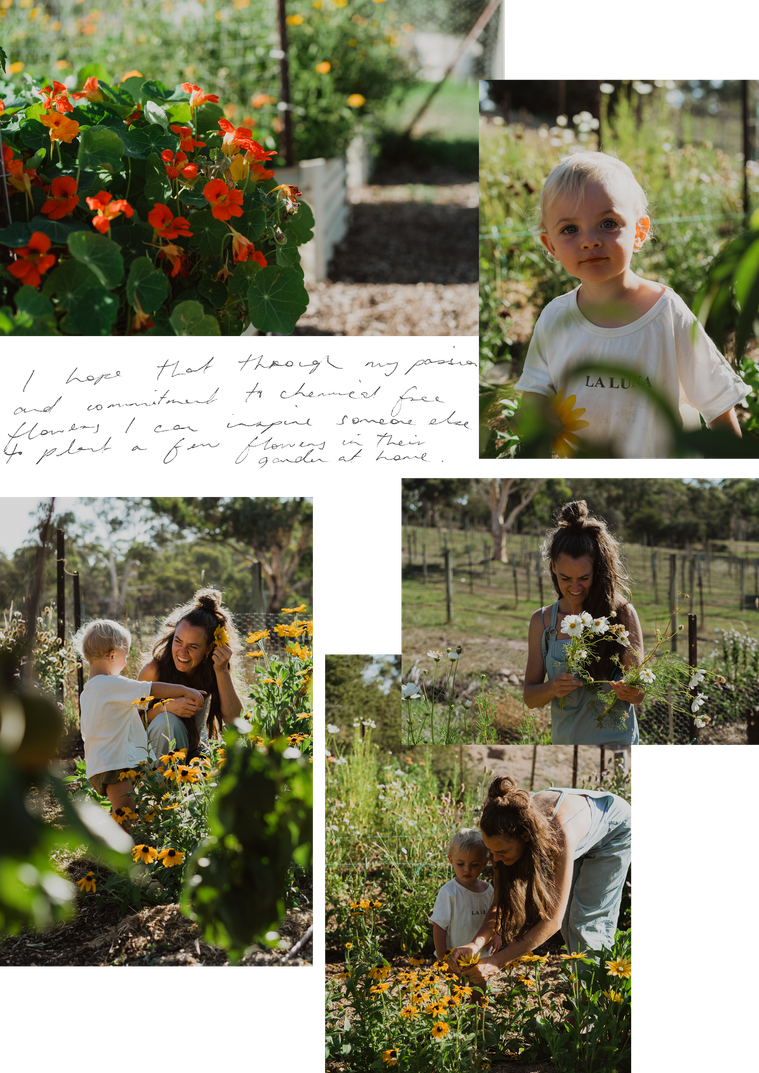 Photography Canberra creative Louise Hunt micro flower farmer and florist