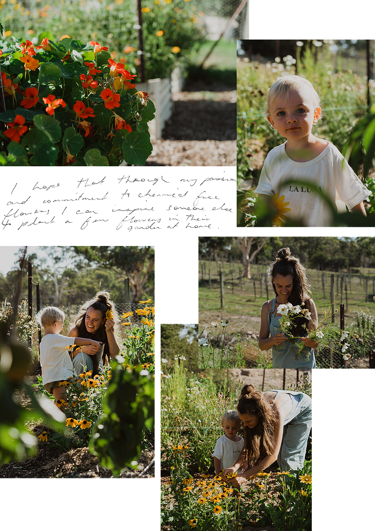 Photography Canberra creative Louise Hunt micro flower farmer and florist
