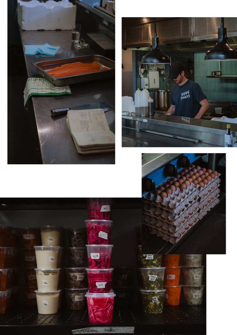 Photography Canberra creative Matthew Rollings chef at Teddy Picker's