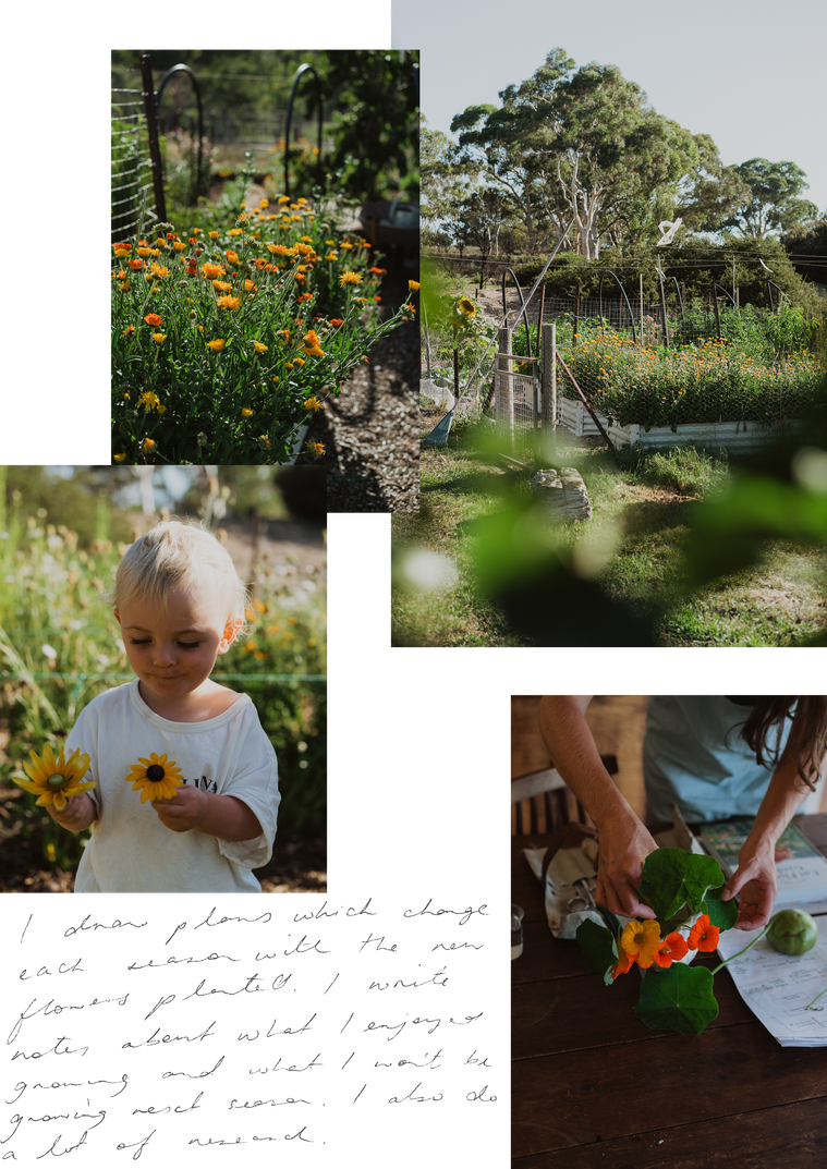 Photography Canberra creative Louise Hunt micro flower farmer and florist