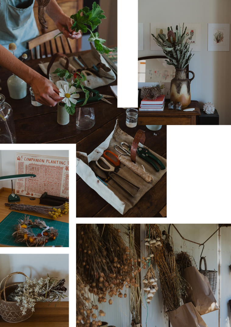 Photography Canberra creative Louise Hunt micro flower farmer and florist