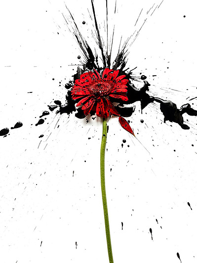 Photo Stéphane Coutelle
French photographer Paris
beauty, nude, fine art, flower, art print 
éditions La Belle Étoile*
beauty photographer, cosmetic, beauté
Fleurs suppliciées , fleurs