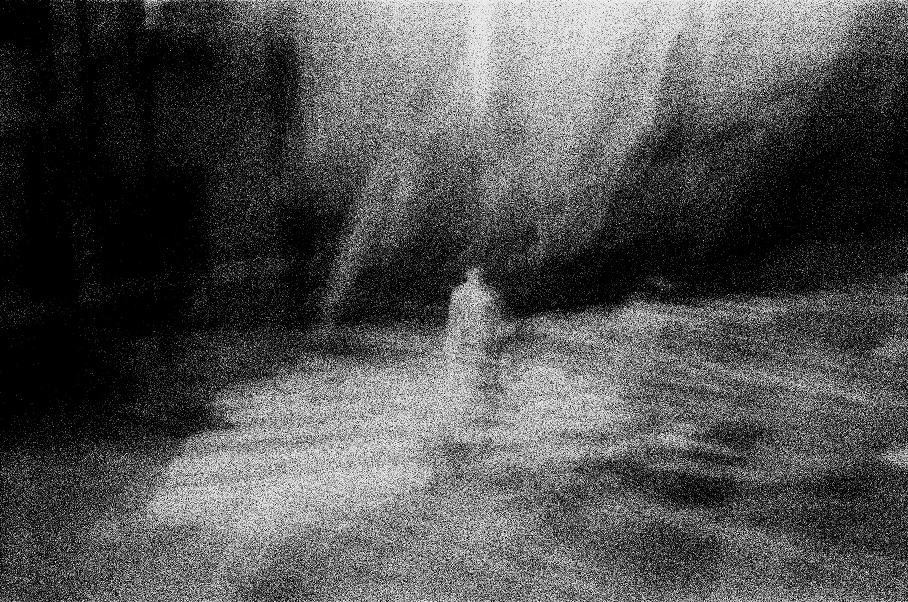 ghost of a person lost in the abstraction of being and non being.