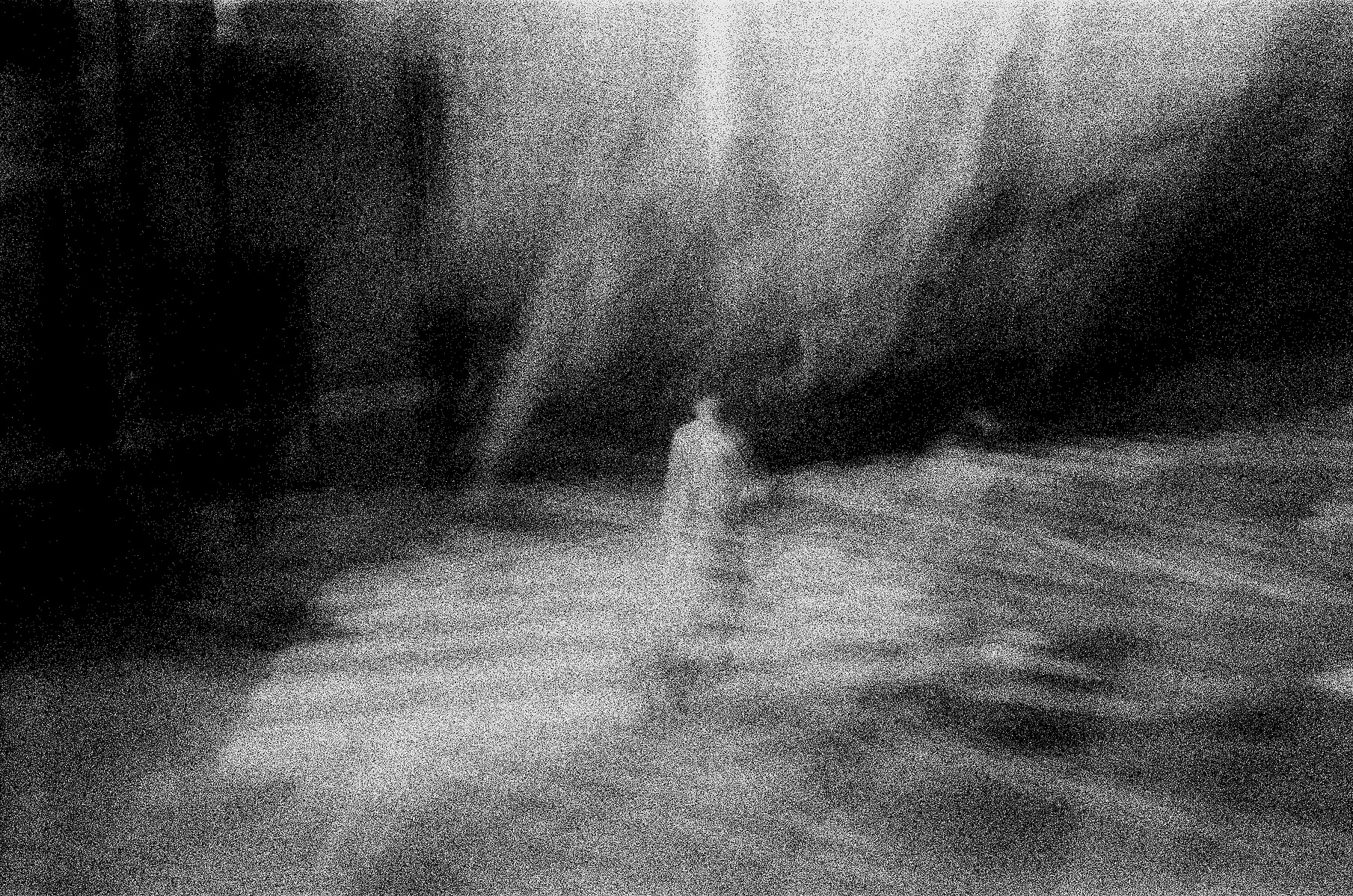 ghost of a person lost in the abstraction of being and non being.