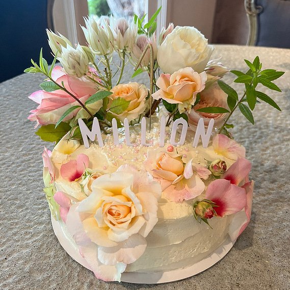 custom cakes, best cakes in malibu, the girl with the cakes, Jenefer Taylor, BLUEM MALIBU
