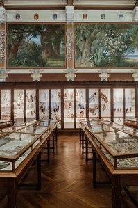 France, Marseille, juin 2024, Reportage photographique au Museum d&#x27;histoire naturelle de Marseille. Au Palais Longchamp, le museum abrite 83 000 spécimens d&#x27;animaux, 200 000 spécimens végétaux, 81 000 spécimens de paléontologie, et de 8 000 échantillons d