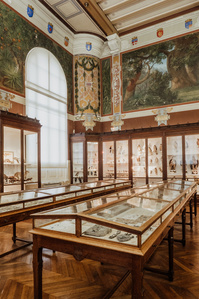 France, Marseille, juin 2024, Reportage photographique au Museum d&#x27;histoire naturelle de Marseille. Au Palais Longchamp, le museum abrite 83 000 spécimens d&#x27;animaux, 200 000 spécimens végétaux, 81 000 spécimens de paléontologie, et de 8 000 échantillons d