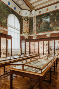 France, Marseille, juin 2024, Reportage photographique au Museum d&#x27;histoire naturelle de Marseille. Au Palais Longchamp, le museum abrite 83 000 spécimens d&#x27;animaux, 200 000 spécimens végétaux, 81 000 spécimens de paléontologie, et de 8 000 échantillons d
