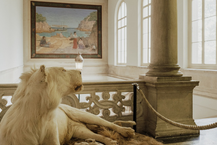 France, Marseille, juin 2024, Reportage photographique au Museum d&#x27;histoire naturelle de Marseille. Au Palais Longchamp, le museum abrite 83 000 spécimens d&#x27;animaux, 200 000 spécimens végétaux, 81 000 spécimens de paléontologie, et de 8 000 échantillons d