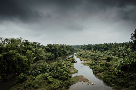 Vanille de  Madagascar
Région de la SAVA