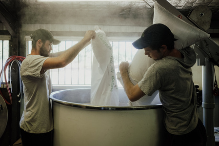 Reportage corporate dans la brasserie artisanale bio dans les landes. La petite Landaise. Fabrication du mout de biere. Photos Alexandra de Dives &amp;#x2F; Collectif DR