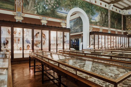France, Marseille, juin 2024, Reportage photographique au Museum d&#x27;histoire naturelle de Marseille. Au Palais Longchamp, le museum abrite 83 000 spécimens d&#x27;animaux, 200 000 spécimens végétaux, 81 000 spécimens de paléontologie, et de 8 000 échantillons d