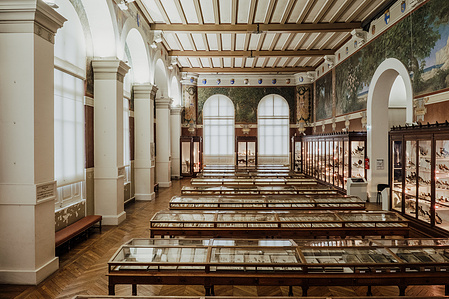 France, Marseille, juin 2024, Reportage photographique au Museum d&#x27;histoire naturelle de Marseille. Au Palais Longchamp, le museum abrite 83 000 spécimens d&#x27;animaux, 200 000 spécimens végétaux, 81 000 spécimens de paléontologie, et de 8 000 échantillons d