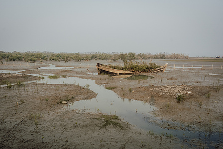 Apres le cyclone yaas, les habitants se desolent de la foret de mangove disparue, ils n&#x27;ont plus de travail, bengale occidental, inde, fevrier 2022, after the yaas cyclone the inhabitants are sorry that the mangrove forest has gone, they don&#x27;t have work a