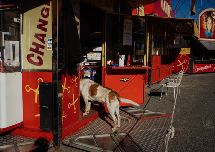 Un chien entre dans un caravane rouge, Foire Saint Martin, Perpignan, octobre 2021
