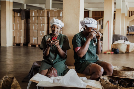 Vanille de Madagascar. 
A l'entrepôt d'Antalaha, dans la région de la SAVA, à Madagascar, les ouvrières font un premier tri olfactif de la vanille pour la classer selon plusieurs catégories. 