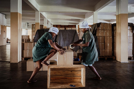 Vanille de Madagascar. 
A l'entrepôt d'Antalaha, dans la région de la SAVA, à Madagascar, les ouvrières préparent les lots de vanille pour l'exportation.