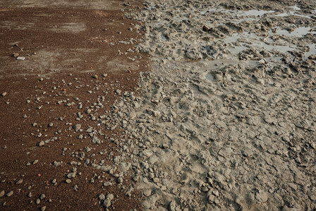 Inde, Bengale Occidental, Ile de Mousuni, 2022-02. La salinisation des sols a rendu cette plage impraticale car la reaction chimique avec le sable l a rendu dur comme du beton. Photo by Alexandra DE DIVES &amp;amp;amp;amp;amp;#x2F; Collectif DR
India, West Bengal, Mousuni Island,