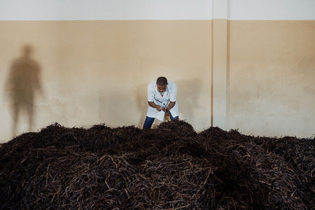 Vanille de Madagascar. 
A l'entrepôt d'Antalaha, dans la région de la SAVA, à Madagascar, le laboratoire analyse le taux de glucose, l’absence de moisissures et la qualité globale des gousses de vanille avant l'achat du lot aux agriculteurs.