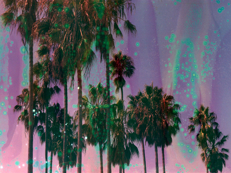 A film-souped image of palm trees in Dolores Park, captured on analog film and chemically altered to evoke a psychedelic, dreamlike landscape. Part of Otherworldly, a visual exploration of altered states and perception