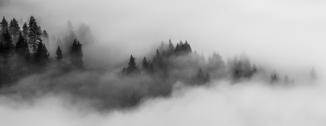 Whispers - Fog drifting above Donner Lake, California. This image was captured from the viewpoint along the Historic Donner Pass Highway (US 40).