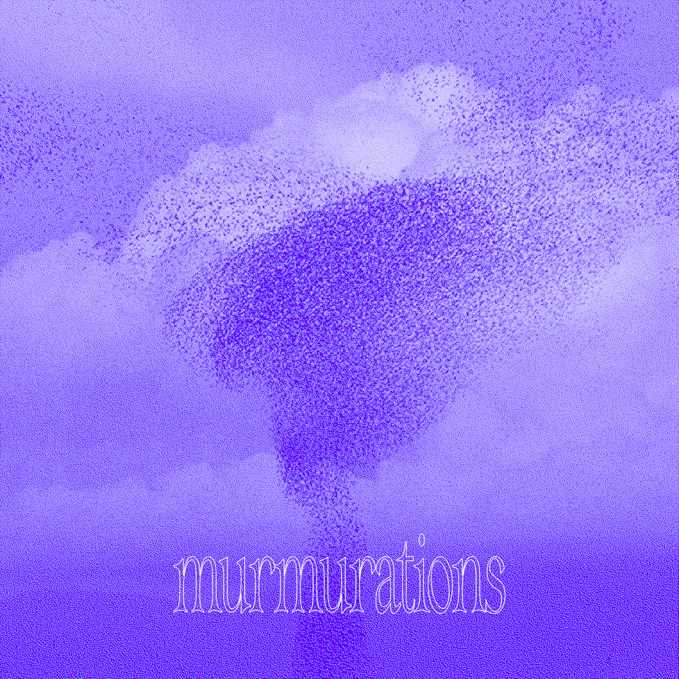 https://fraeme.art/archives/portfolio/murmuration