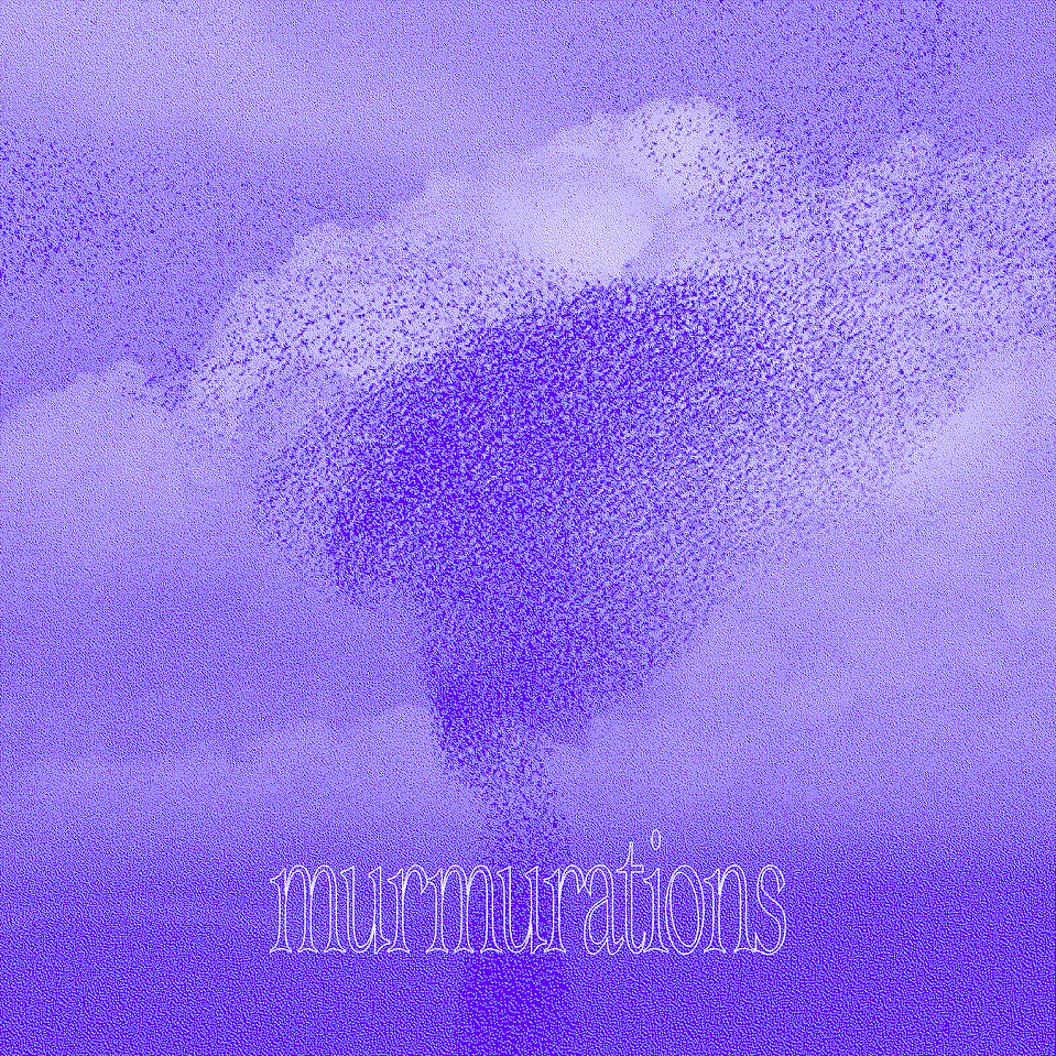 https://fraeme.art/archives/portfolio/murmuration