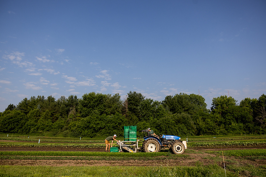 A tractor works in the field at the Vitruvian farm in McFarland, WI. 