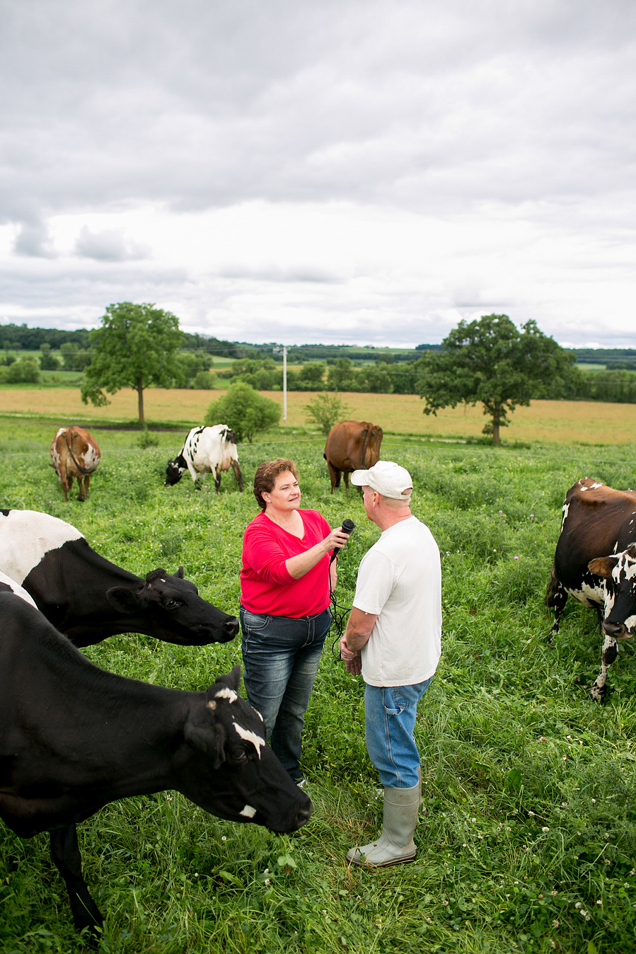 A gal in a field surrounded by cows with a microphone interviewing a farmer for a radio program. 